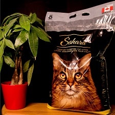 Sahara Cat Litter