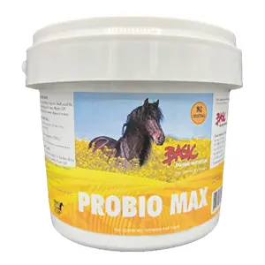 Basic Equine Nutrition