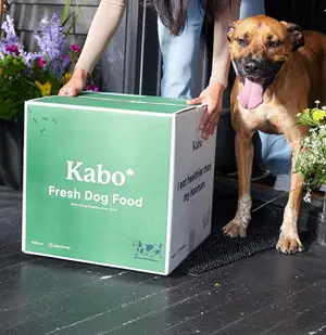 Kabo