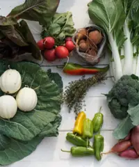 Hinterland Growers