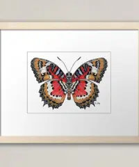 Natasha Lay Fine Art