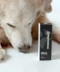 Pawtanical