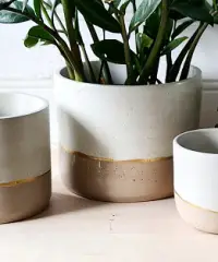 Plant ‘er Here