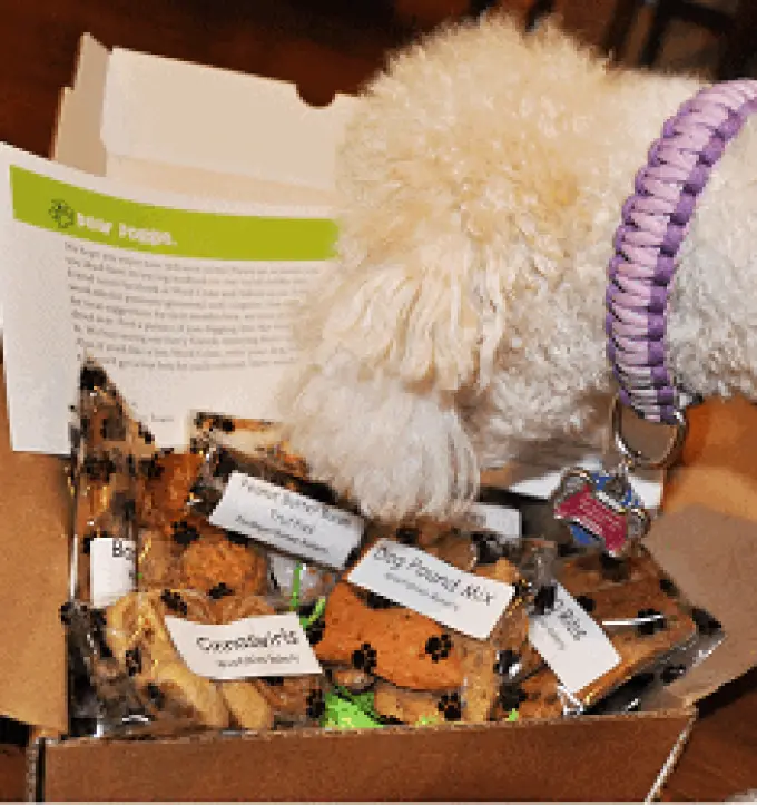 Woof Crate