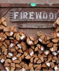 City Loggers