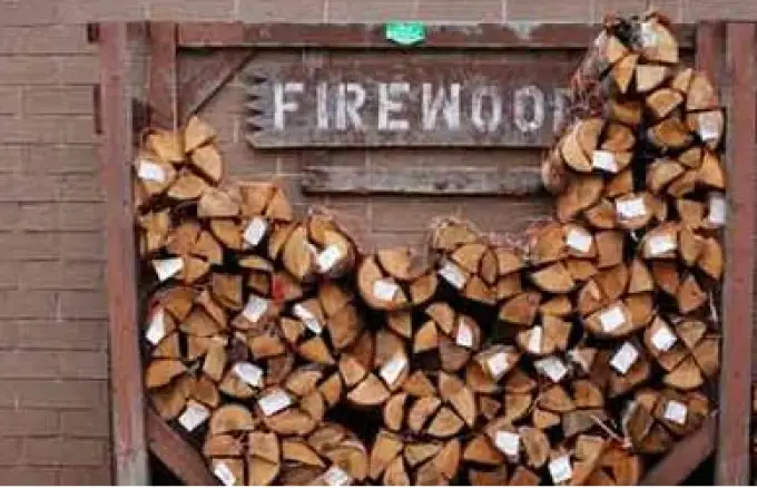 City Loggers