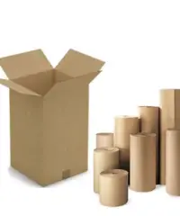Colt Paper