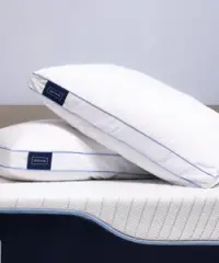 Octave Sleep