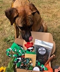 Pawsitive Pets Inc