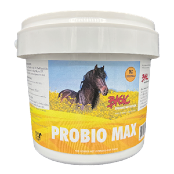 Basic Equine Nutrition