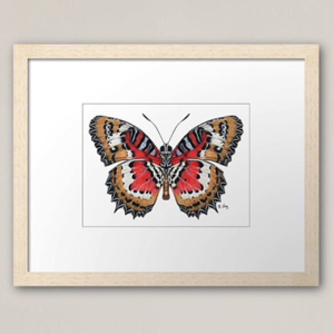 Natasha Lay Fine Art