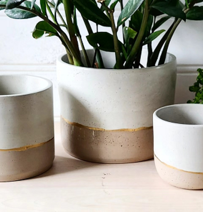 Plant &#8216;er Here