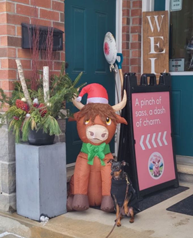 Rustic Daisy&#8217;s