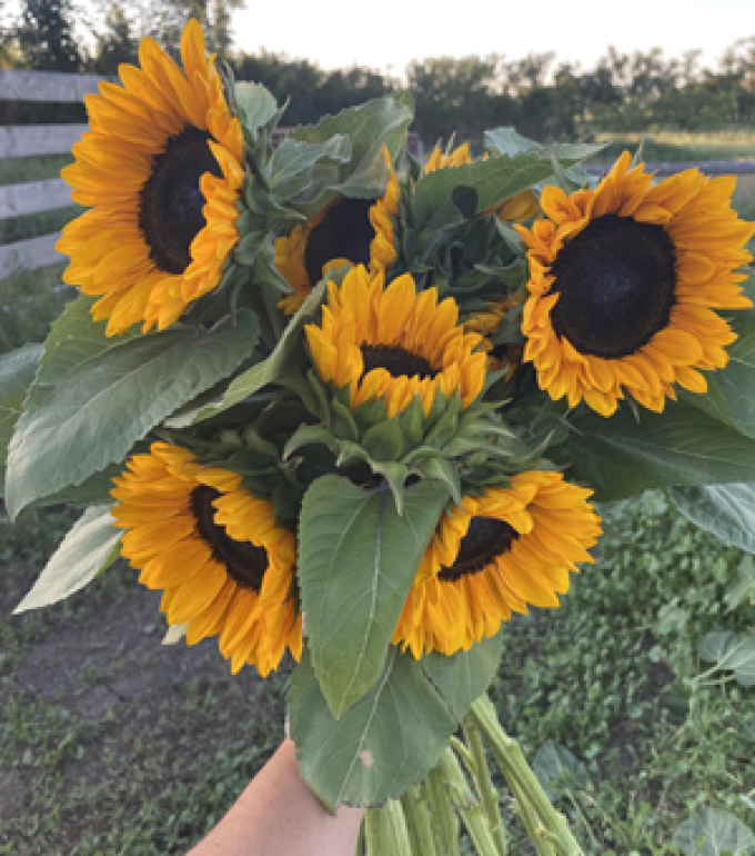 Three Sixteen Flower Co