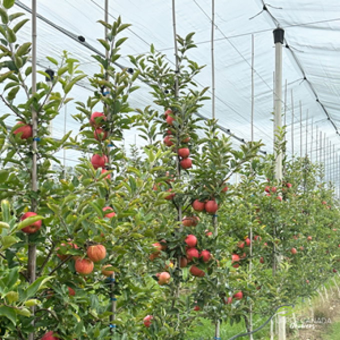 Upper Canada Growers Ltd.