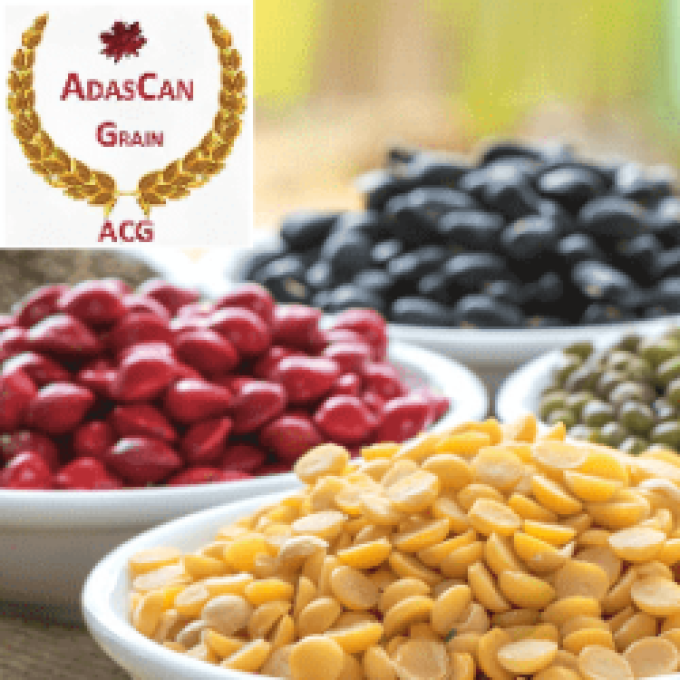 AdasCan Grain Corporation