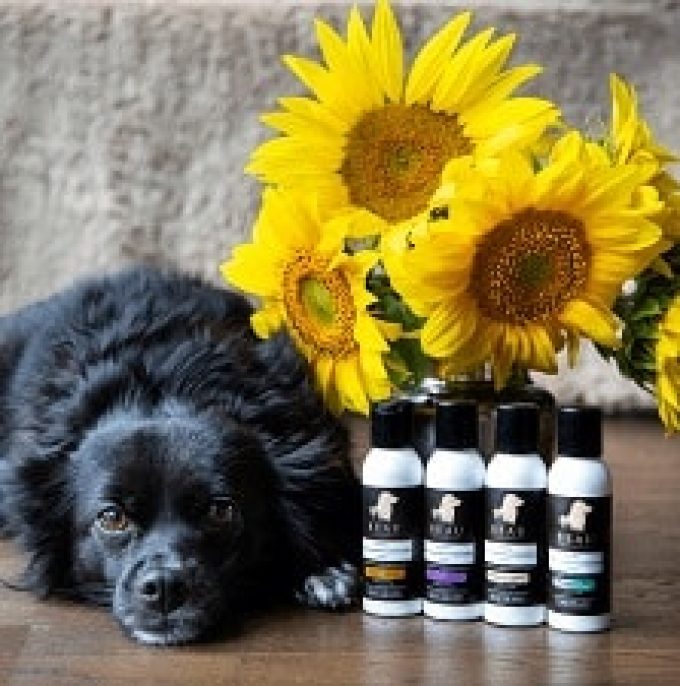 Beau Canine Essentials