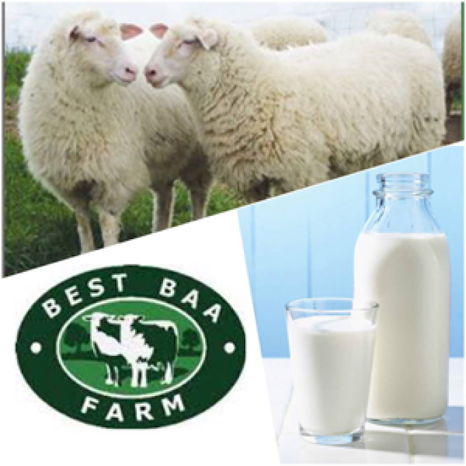 Best Baa Dairy Limited