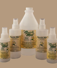 Country Connections Inc