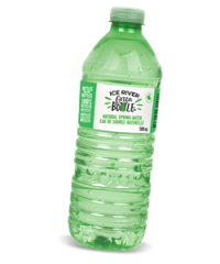 Ice River Sustainable Solutions