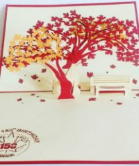 Roses Without Thorns