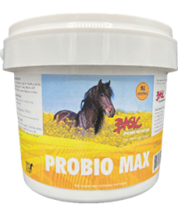 Basic Equine Nutrition