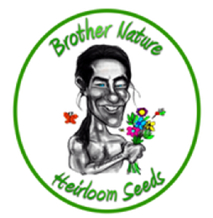 Brother Nature Heirloom Seeds