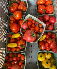 Franken Farm Seed Company