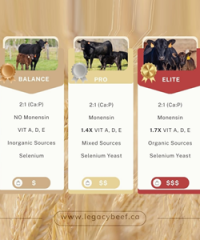 Legacy Beef Solutions