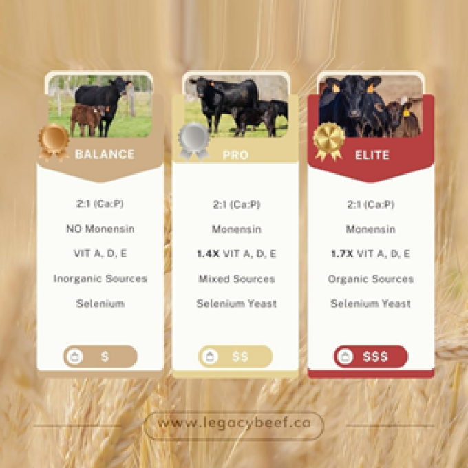 Legacy Beef Solutions