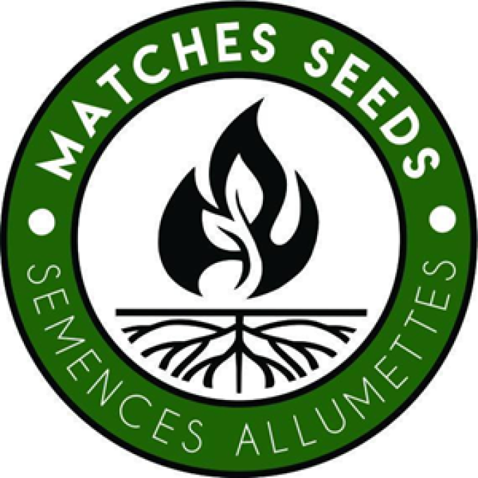 Matches Seeds