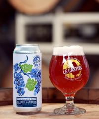 Microbrasserie Le Castor Brewing