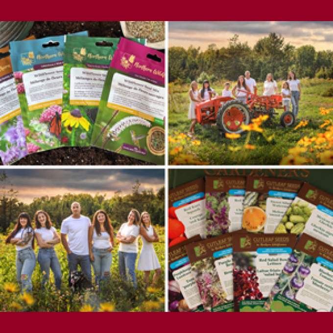 Northern Wildflowers