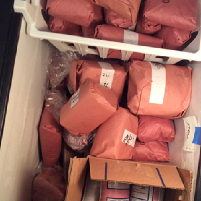 Silver Stream Bison Farm