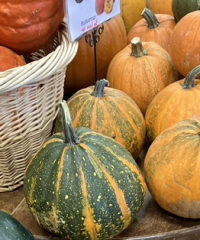 The Wandering Market