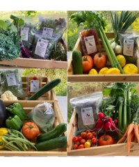 Broadwood Farm Ottawa