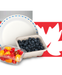 CFK Inc Paper Plates & Bowls