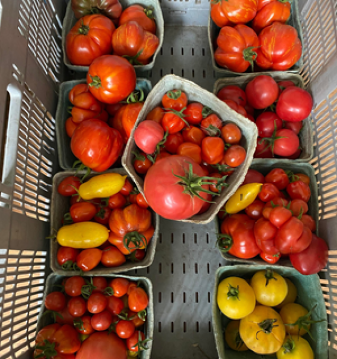 Franken Farm Seed Company