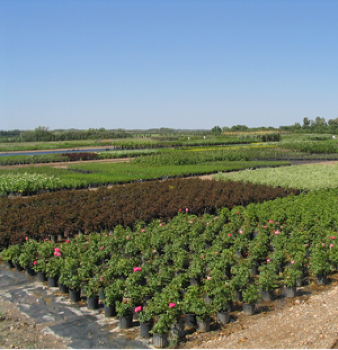 Select Seedling Nursery