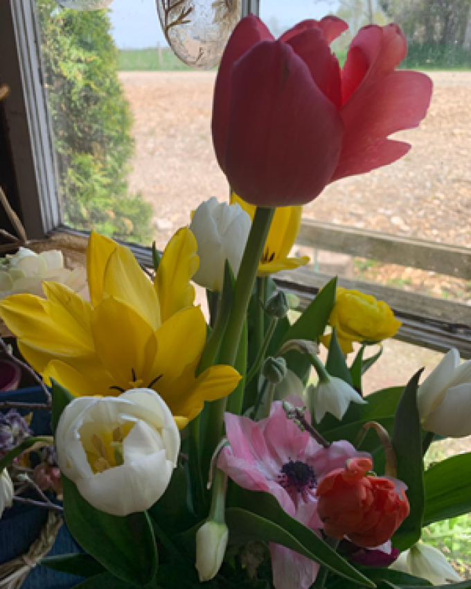 The Garden in Harrington