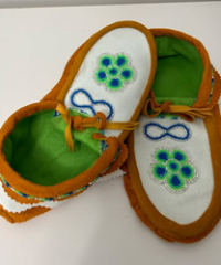 The Cree Woman in Canada