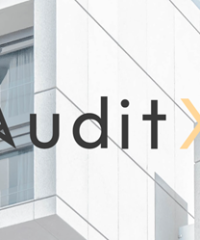 AuditX