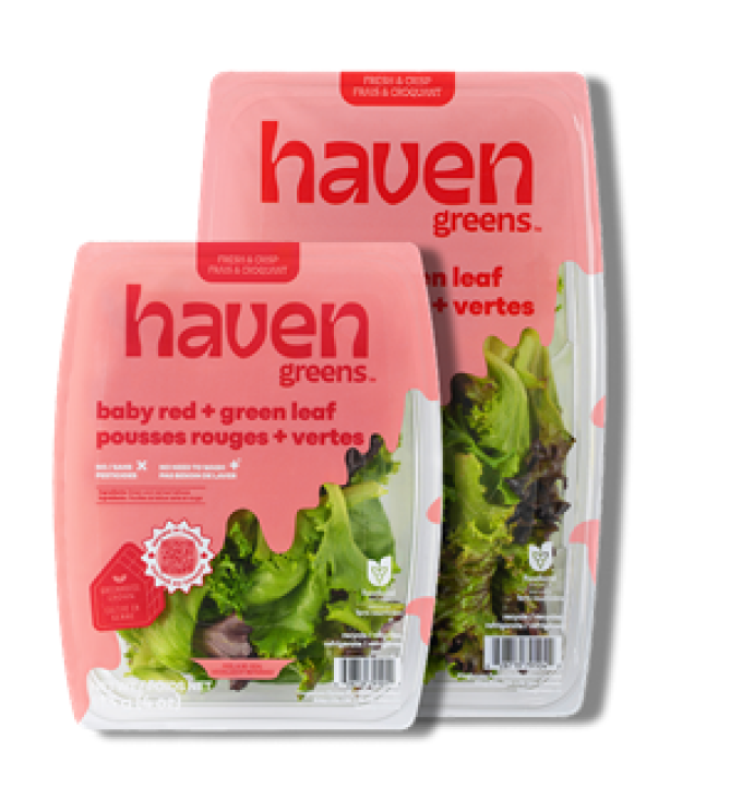 Haven Greens