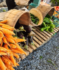 Kingston Farmers Market