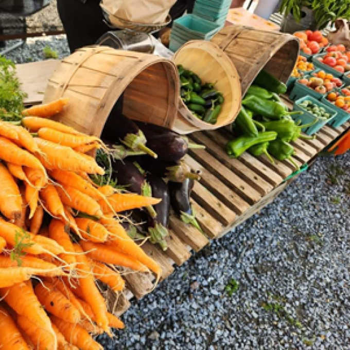 Kingston Farmers Market