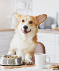 The Crown That Barks