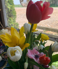 The Garden in Harrington