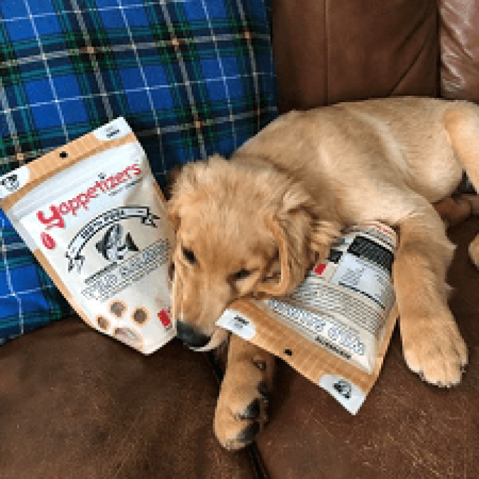 Yappetizers Treat Company