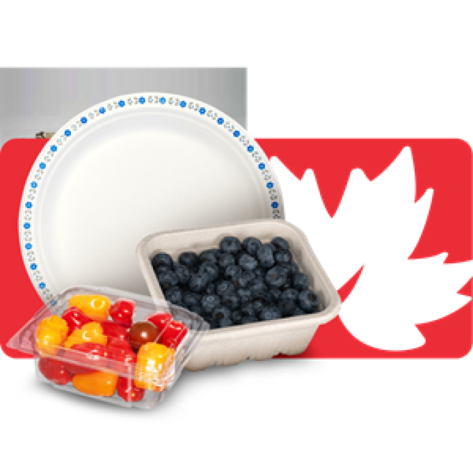 CFK Inc Paper Plates & Bowls