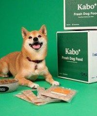 Kabo Fresh Dog Food